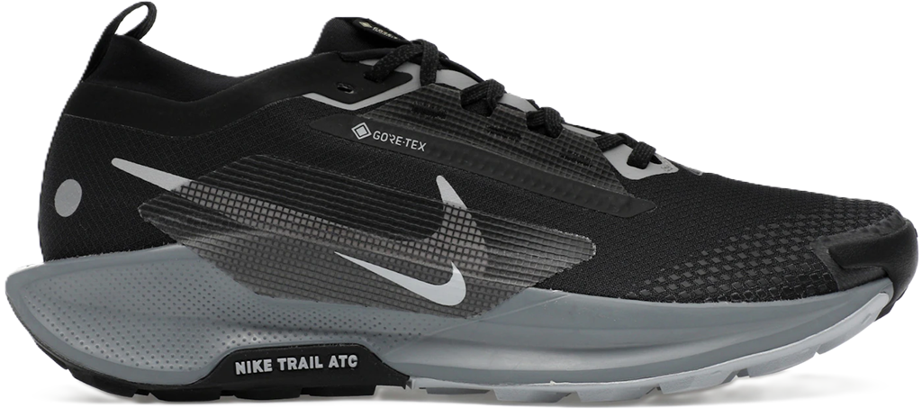 Giày Nike Pegasus Trail 5 GORE-TEX 'Black Wolf Grey' FQ0908-001