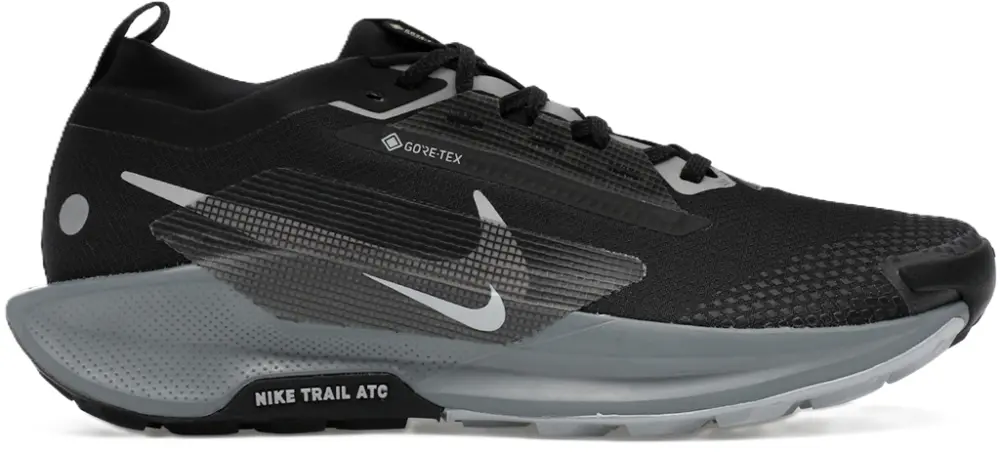 Giày Nike Pegasus Trail 5 GORE-TEX 'Black Wolf Grey' FQ0908-001