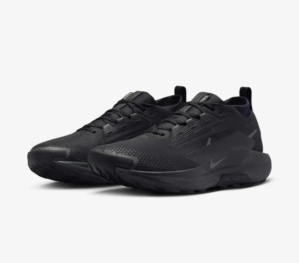 Giày Nike Pegasus Trail 5 GORE-TEX 'Black' FQ0908-002 - Ảnh 3