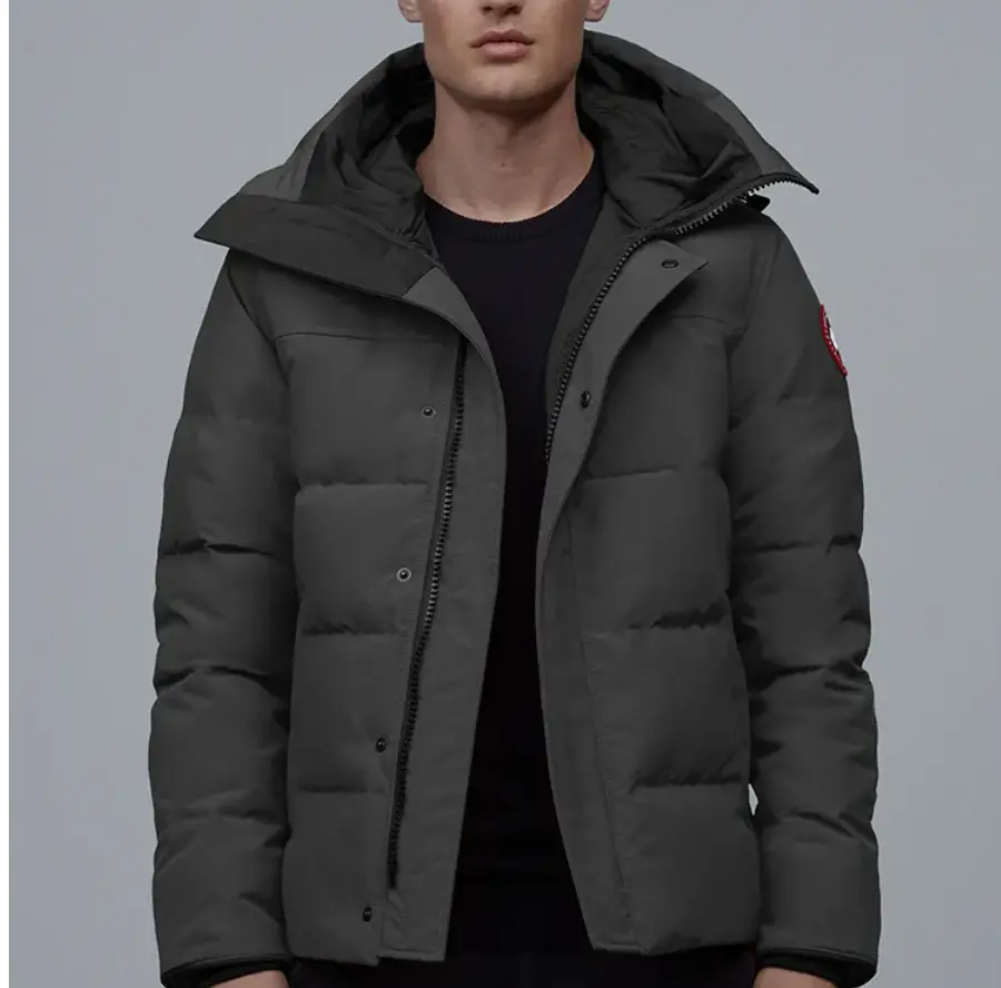 Alternative view of Áo Canada Goose Macmillan Parka ‘Grey’ 3804M-66