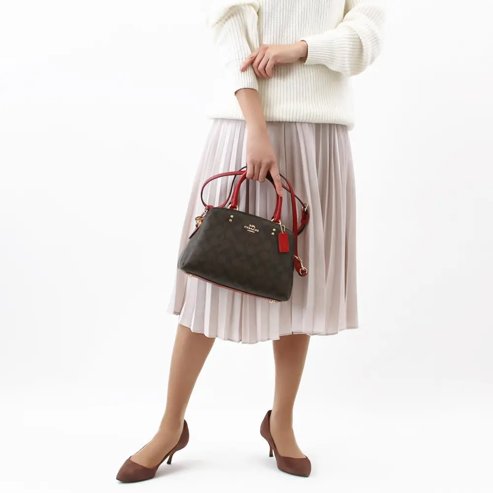 Túi Coach Mini Lily Carry Canvas 'Red Brown' 91494-IMRVQ - Ảnh 3