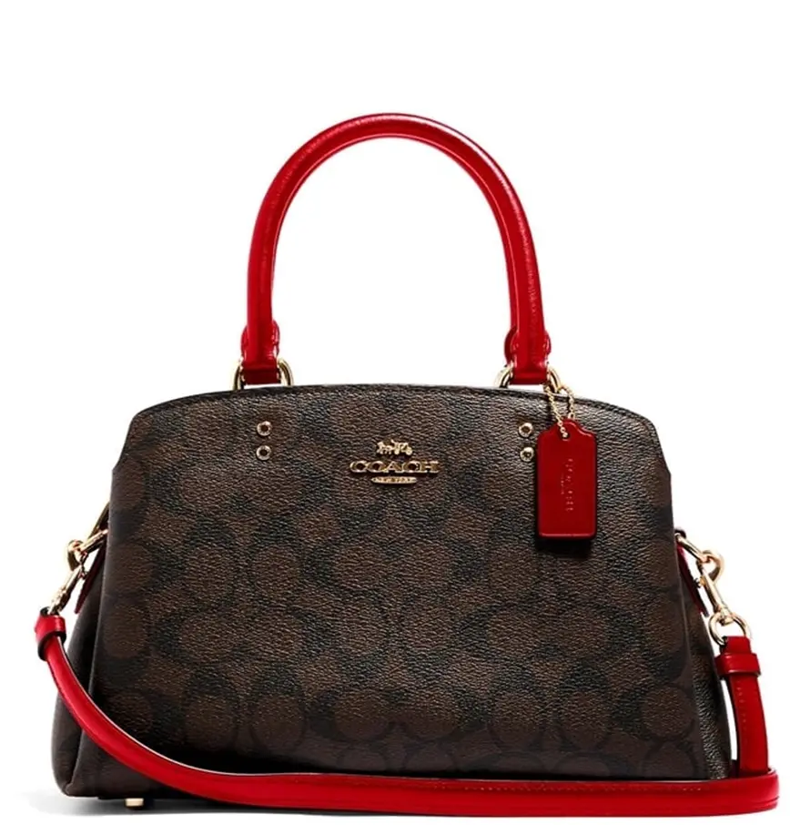 Túi Coach Mini Lily Carry Canvas 'Red Brown' 91494-IMRVQ