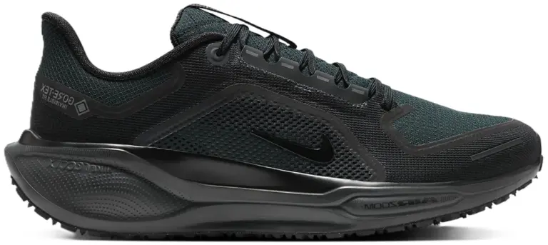 Giày Nike Pegasus 41 Gore-Tex ‘Black Anthracite’ FQ1356-001