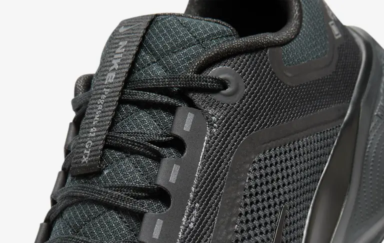 Giày Nike Pegasus 41 Gore-Tex ‘Black Anthracite’ FQ1356-001 - Ảnh 3