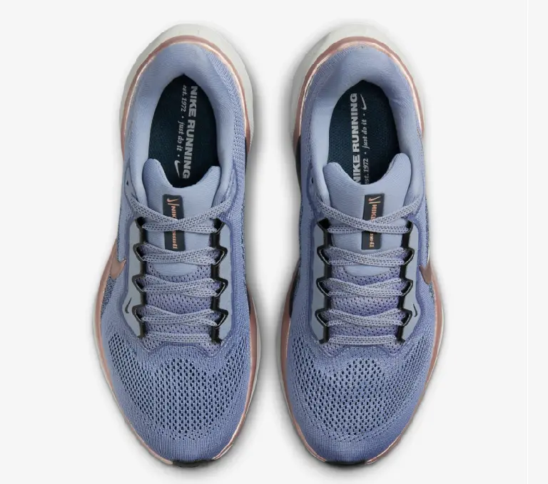 Giày Nike Air Zoom Pegasus 41 ‘Ashen Slate’ FD2723-403 - Ảnh 3