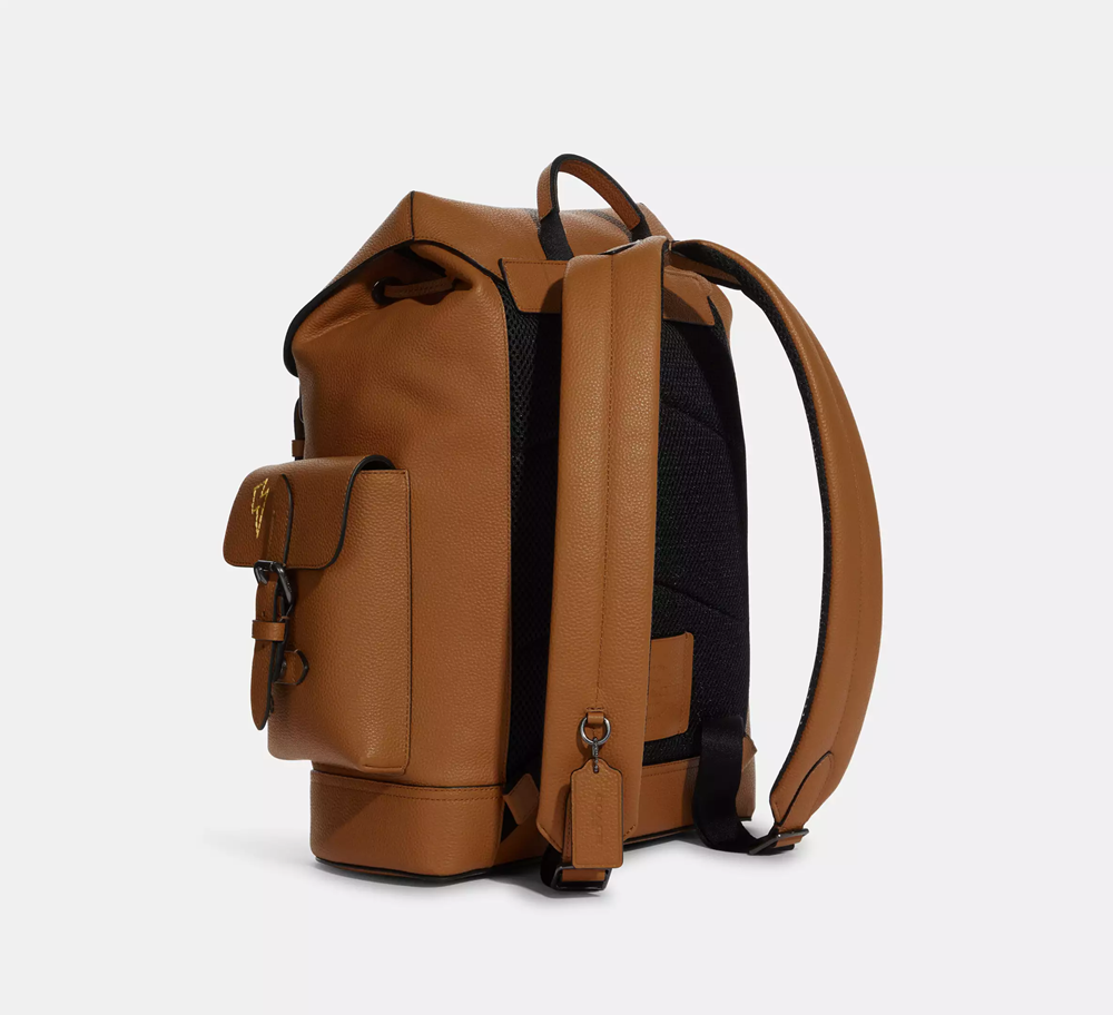 Balo Coach Hudson Backpack With Diary ‘Brown’ C8146-QBQUN - Ảnh 3