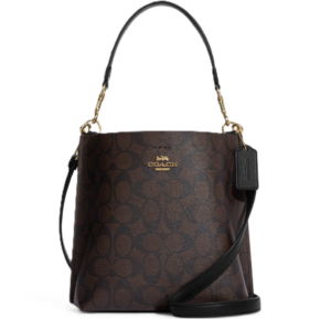 Túi Coach Mollie Bucket 22 Canvas Bag ‘Brown’ CA582-IMAA8