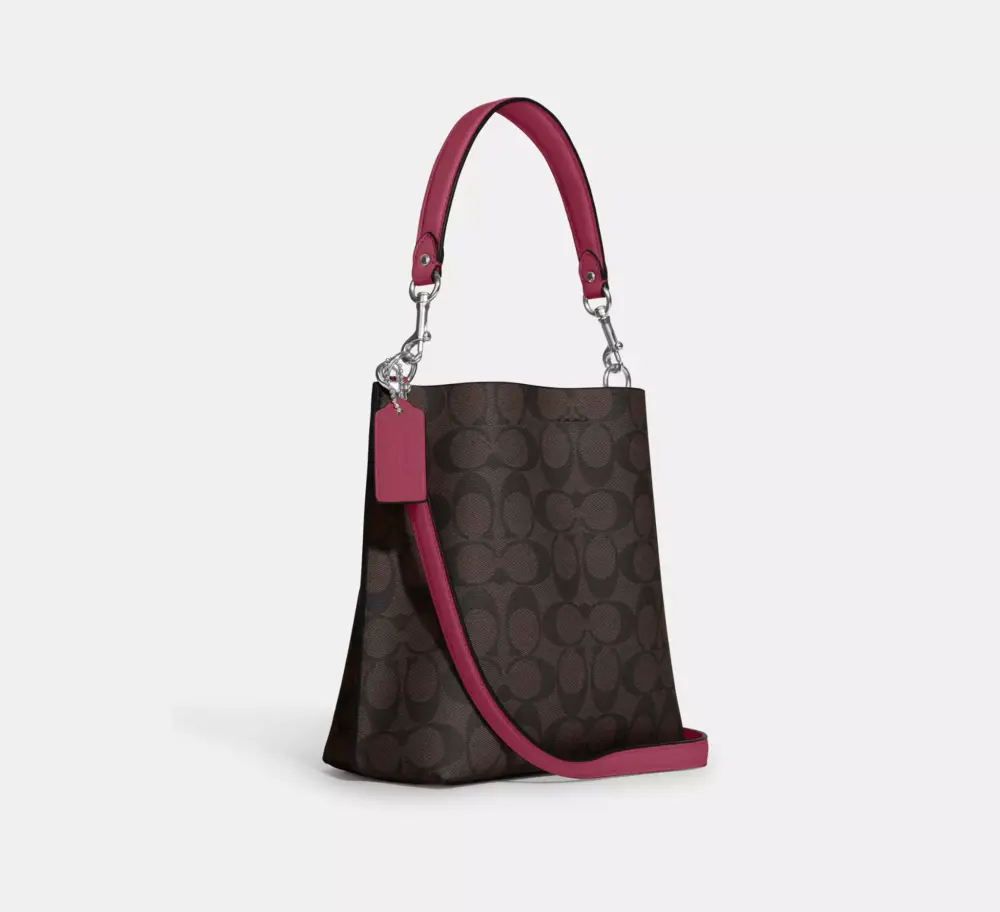 Túi Coach Mollie Bucket Bag 22 Canvas 'Brown' CA582-IMRVQ - Ảnh 4