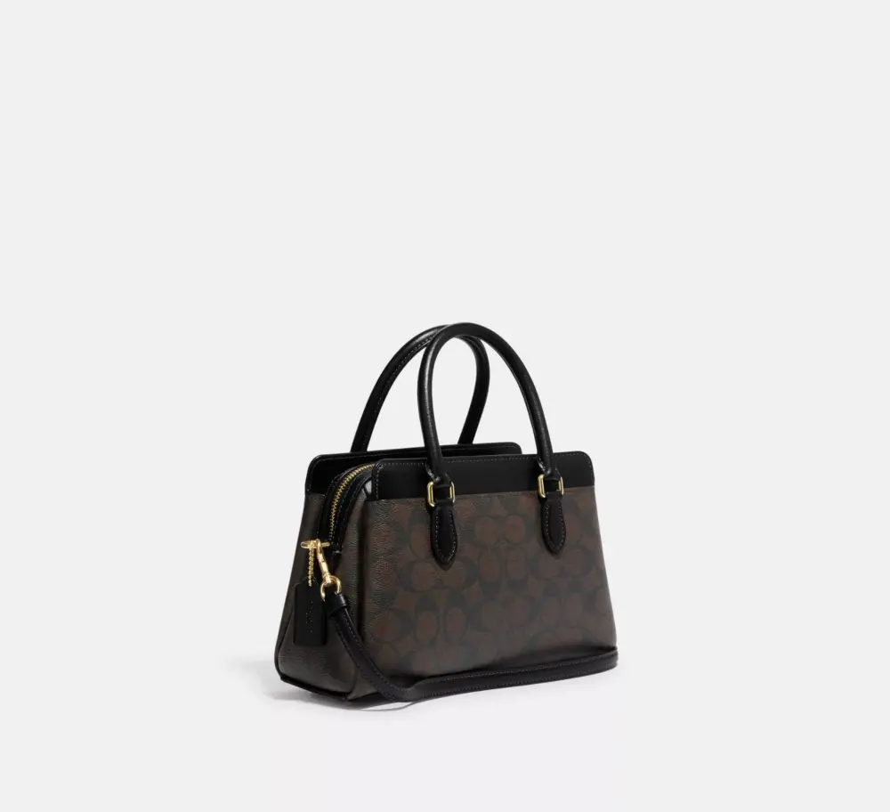 Túi Coach Mini Darcie Carryall Signature Canvas ‘Brown’ CH174-IMAA8 - Ảnh 3