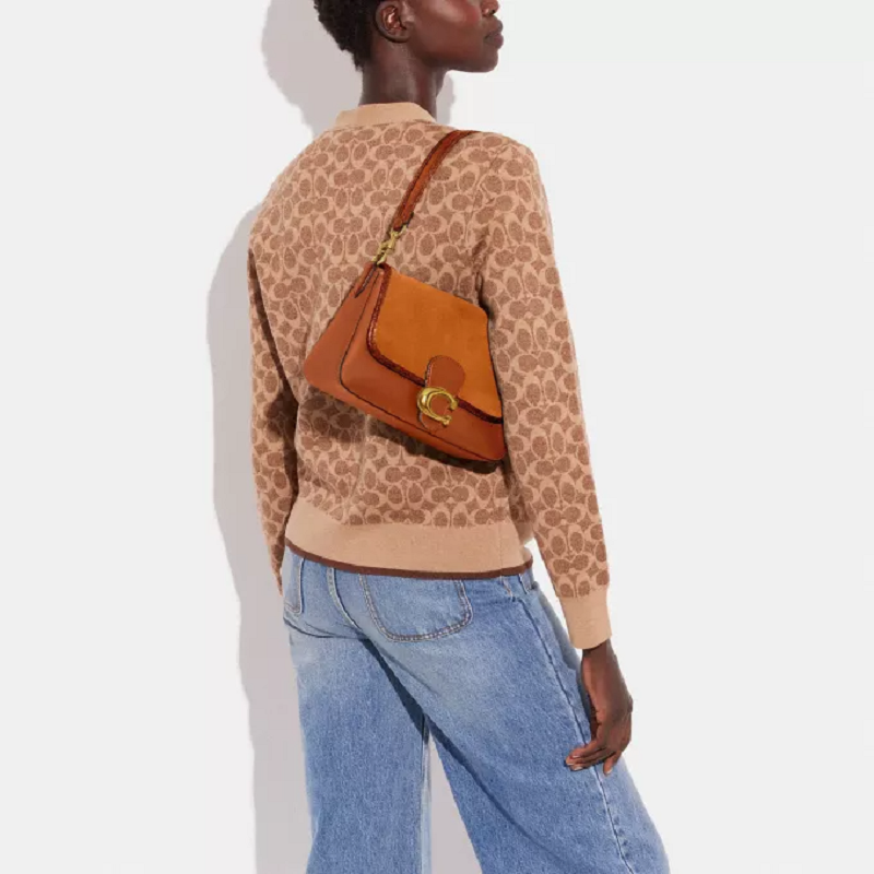 Túi Coach Soft Tabby Shoulder ‘Brown’ CI034-B4BAR - Ảnh 3