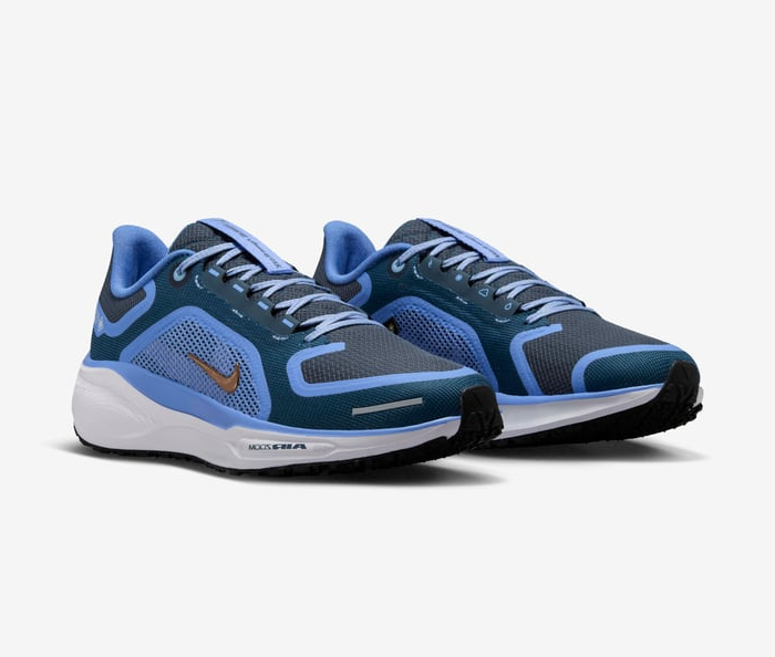 Giày Nike Air Zoom Pegasus 41 Gore-Tex ‘Cobalt’ FQ1357-400 - Ảnh 2