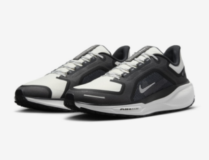 Alternative view of Giày Nike Pegasus 41 Gore-Tex ‘White Iron Grey’ FQ1356-002