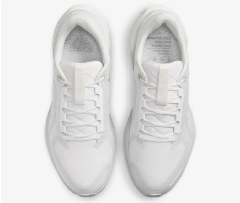 Giày Nike Air Zoom Pegasus 41 Gore-Tex ‘Photon Dust’ FQ1356-101 - Ảnh 3