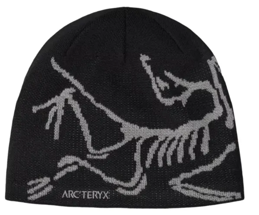 Mũ Arcteryx Beanies Unisex 'Black' X000006756019
