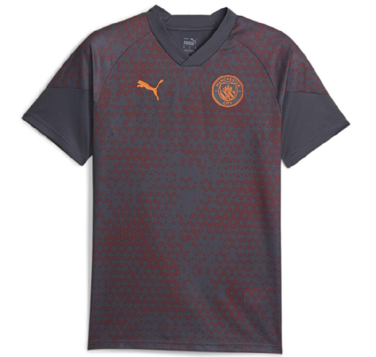 Áo Puma Training jersey Manchester City ‘Grey Red’ 772855-16