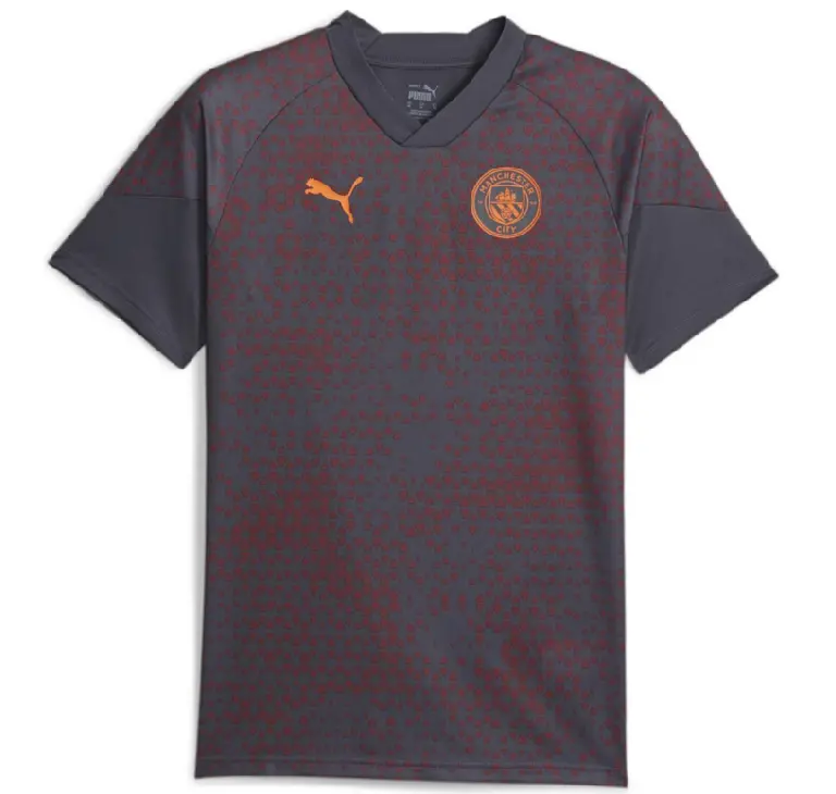 Áo Puma Training jersey Manchester City ‘Grey Red’ 772855-16