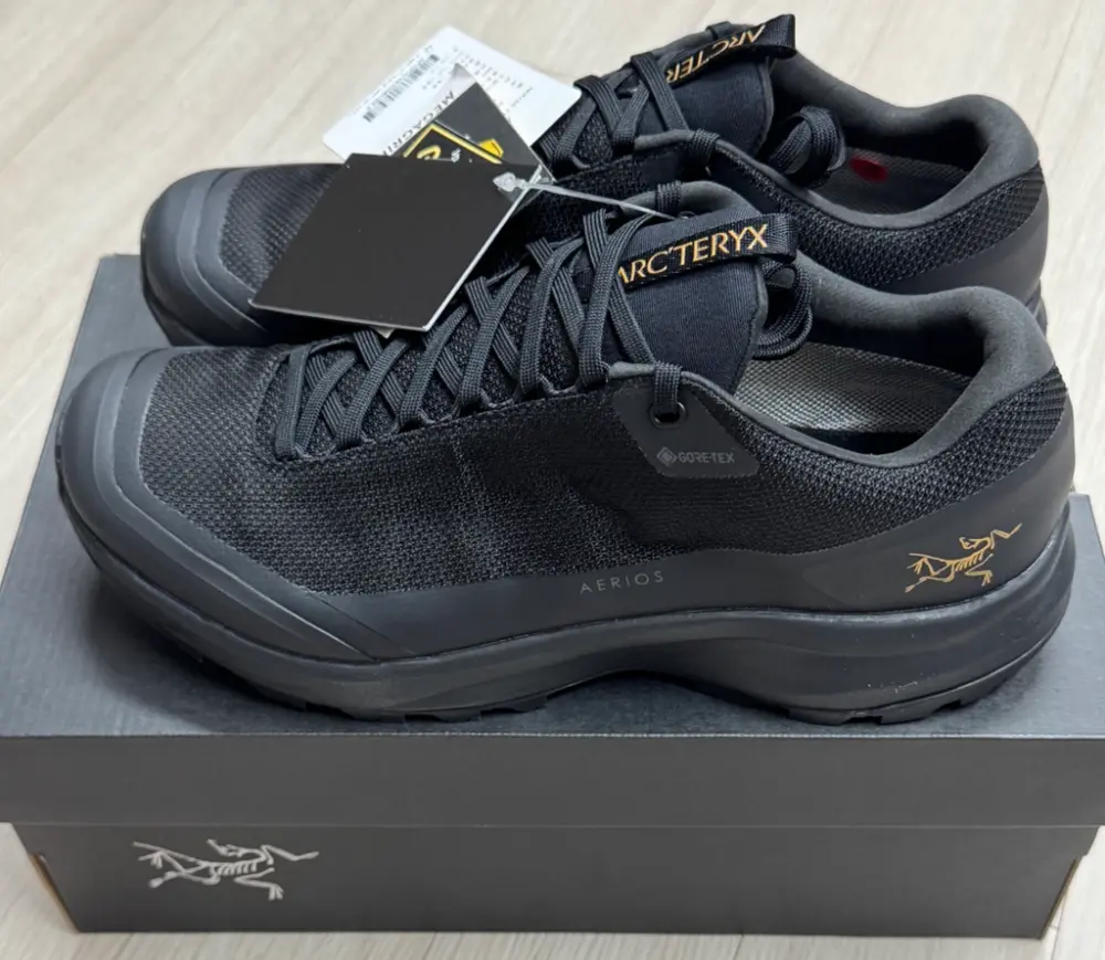 Giày Arc’teryx Aerios FL 2 GTX ‘Black’ L07883300 - Ảnh 4