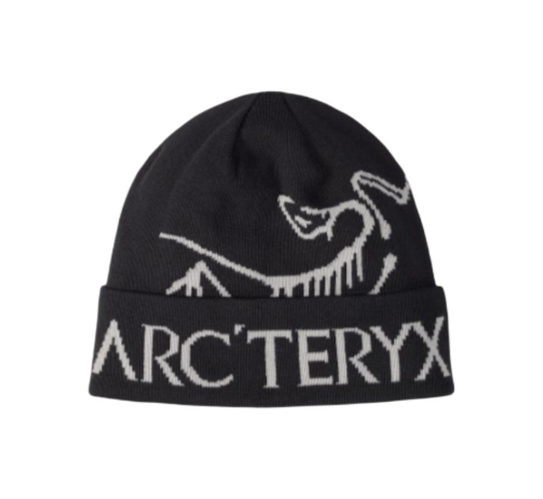 Mũ Arcteryx Bird Word Toque ‘Black Void’ X000006644-BLACK VOID - Ảnh 2