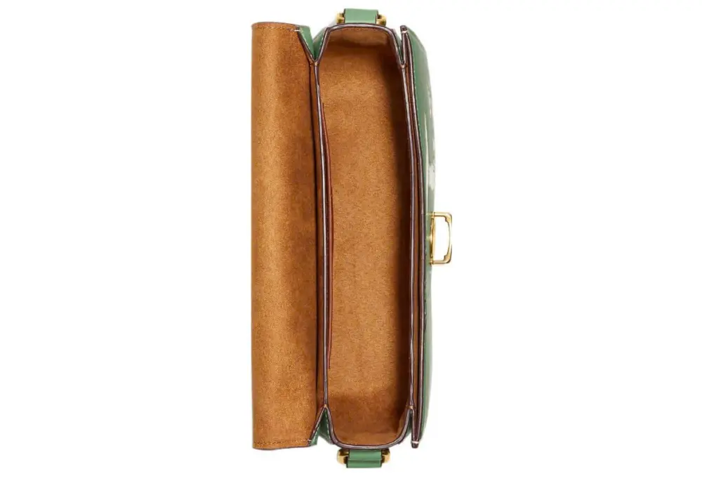 Túi Coach Disney X Studio ‘Soft Green’ CH466-B4RT2 - Ảnh 3