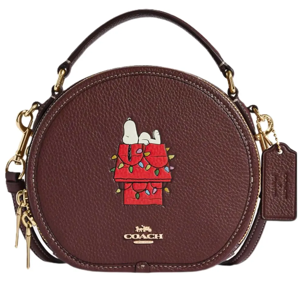 Túi Coach Snoopy Lights Motif ‘Brown’ CE844-IMMZI