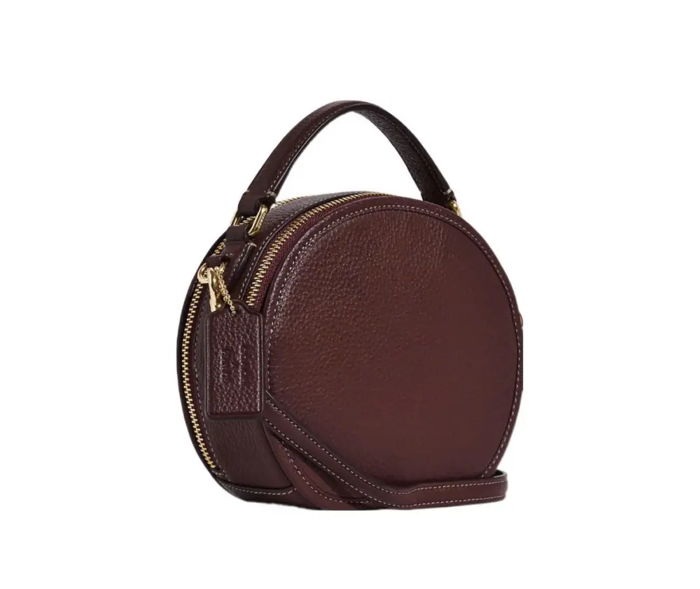 Túi Coach Snoopy Lights Motif ‘Brown’ CE844-IMMZI - Ảnh 3