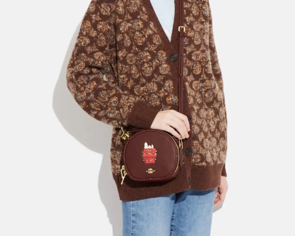 Túi Coach Snoopy Lights Motif ‘Brown’ CE844-IMMZI - Ảnh 5