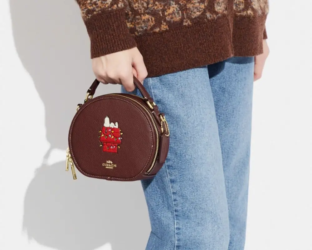 Túi Coach Snoopy Lights Motif ‘Brown’ CE844-IMMZI - Ảnh 4