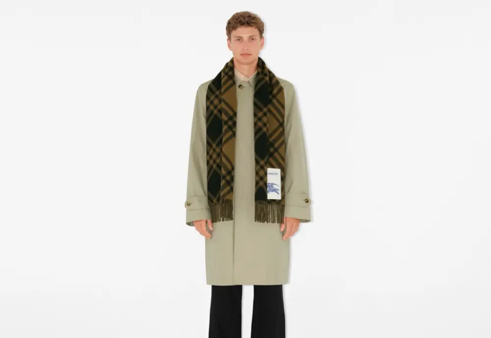 Khăn Burberry Check Cashmere Scarf 'Camp' 80997091 - Ảnh 3