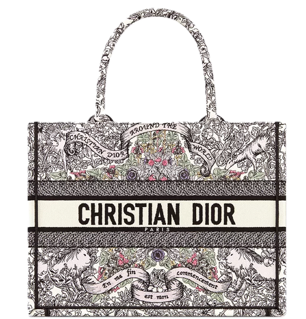 Túi Dior Medium Dior Book Tote 'Multicolor' M1296ZEDO-M941