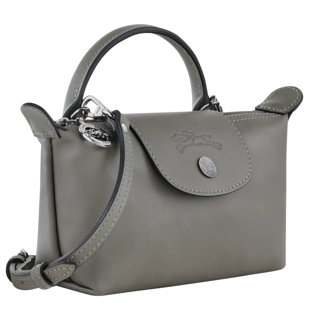 Túi Longchamp Le Pliage Xtra XS Pouch 'Turtledove' 34205987P55 - Ảnh 4