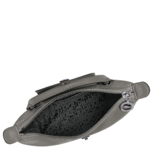 Alternative view of Túi Longchamp Le Pliage Xtra XS Pouch 'Turtledove' 34205987P55