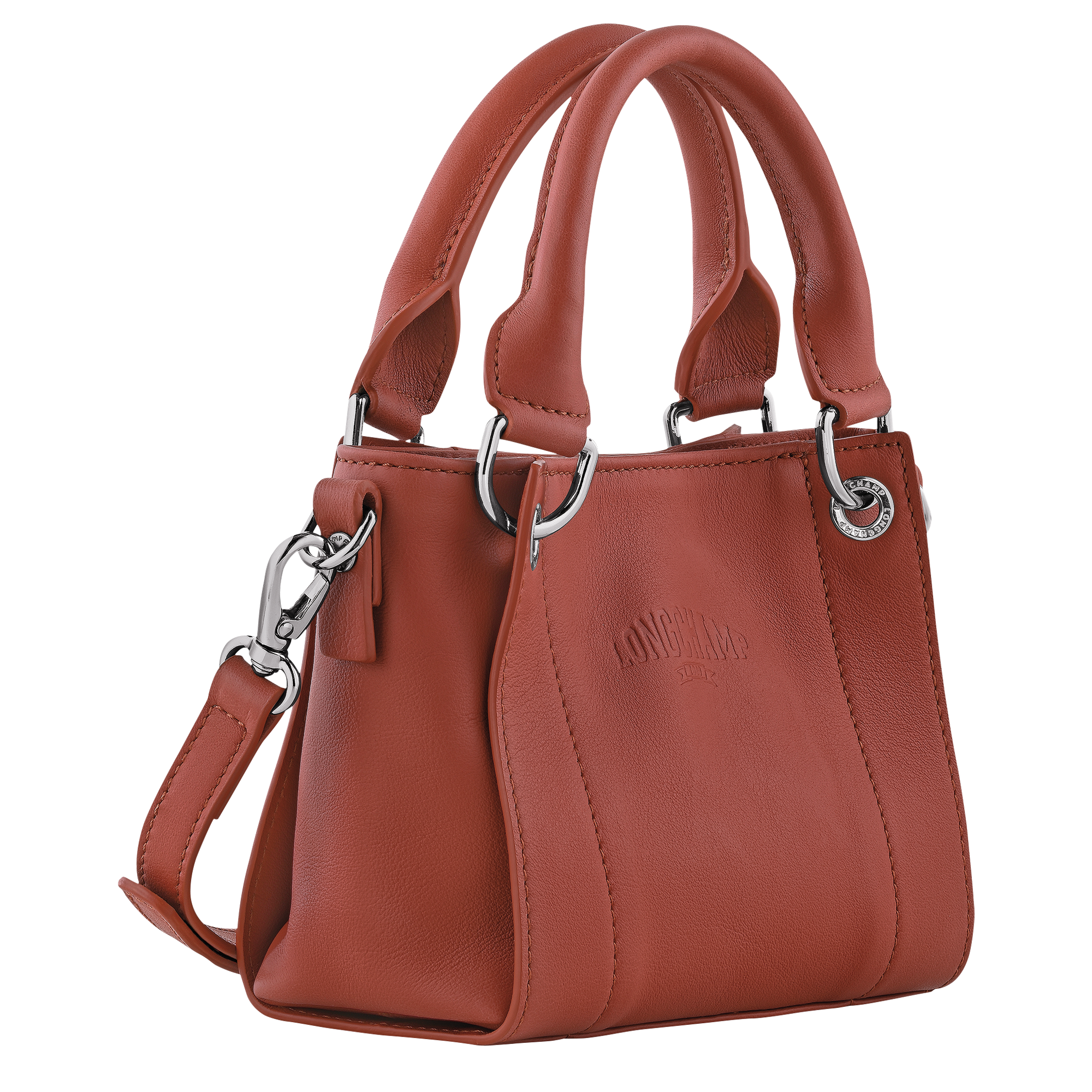 Túi Longchamp 3D XS Handbag 'Chestnut' 10254HFA404 - Ảnh 3