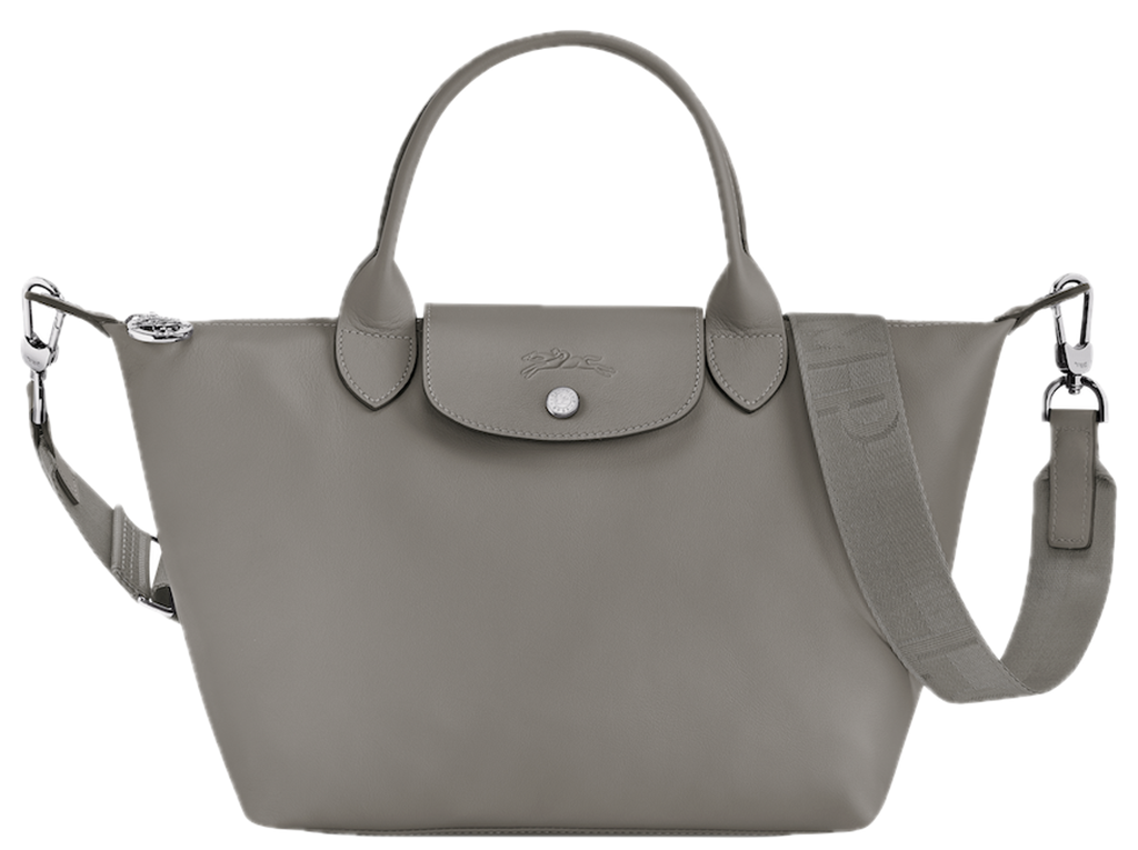 Túi Longchamp Le Pliage Xtra S Handbag 'Turtledove' L1512987P55
