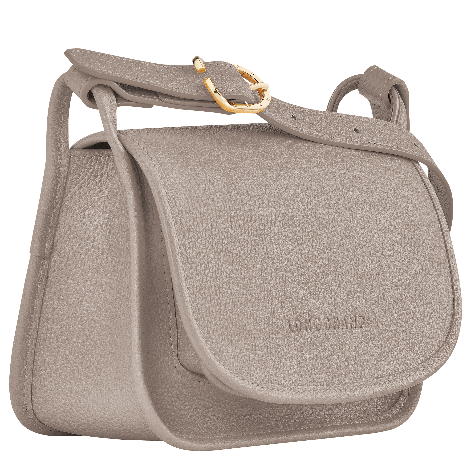 Túi Longchamp Le Foulonné S Crossbody Bag 'Turtledove' 10134021P55 - Ảnh 3
