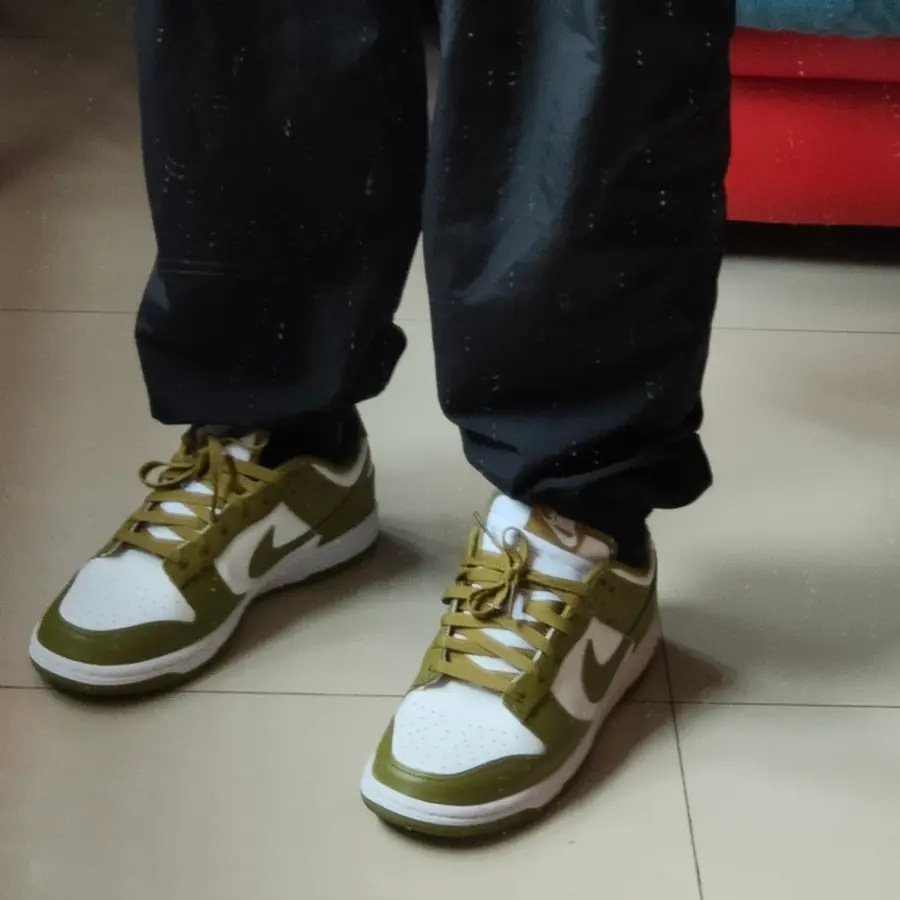 Giày Nike Dunk Low GS ‘Pacific Moss’ FB9109-108 - Ảnh 5