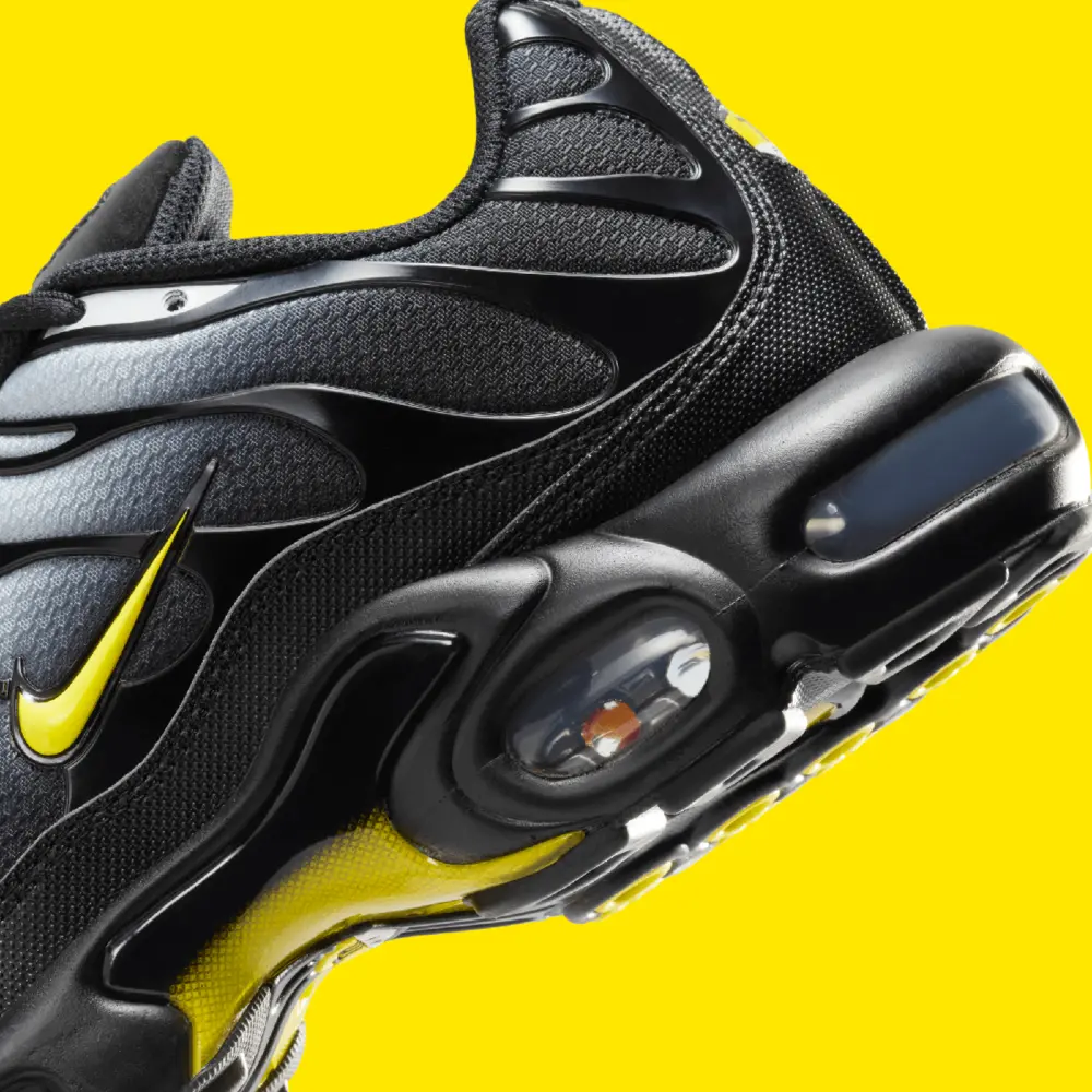 Giày Nike Air Max Plus ‘Wolf Grey’ DM0032-012 - Ảnh 5