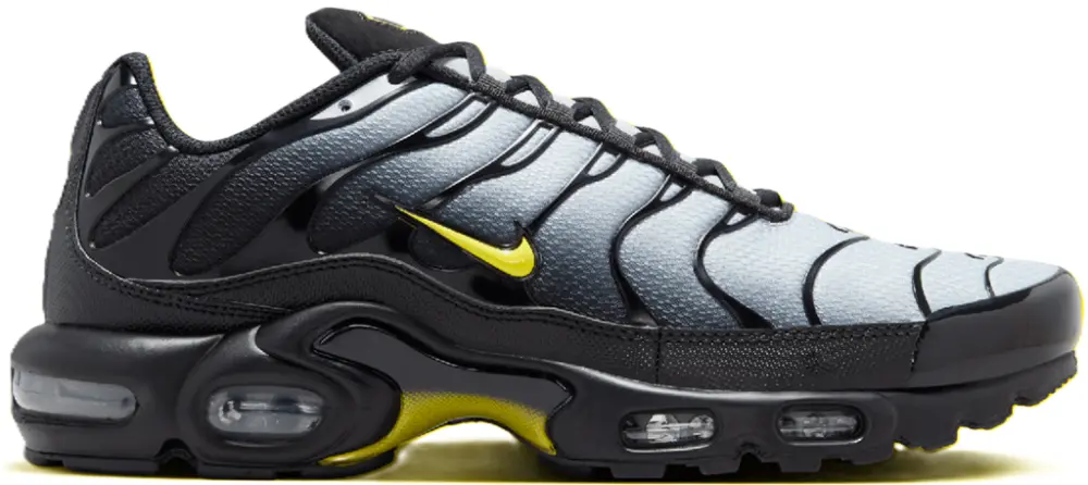 Giày Nike Air Max Plus ‘Wolf Grey’ DM0032-012