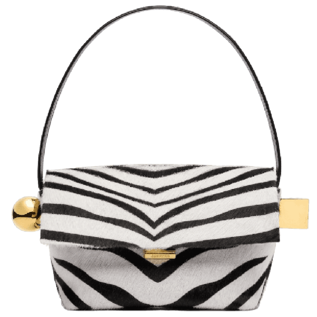 Túi Jacquemus The Rond Carré ‘Zebra’ 243BA383-3209-9DZ