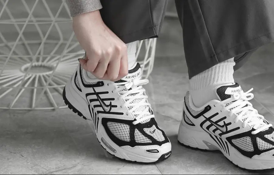 Giày Nike Air Pegasus 2005 ‘White Black’ FJ1909-100 - Ảnh 5