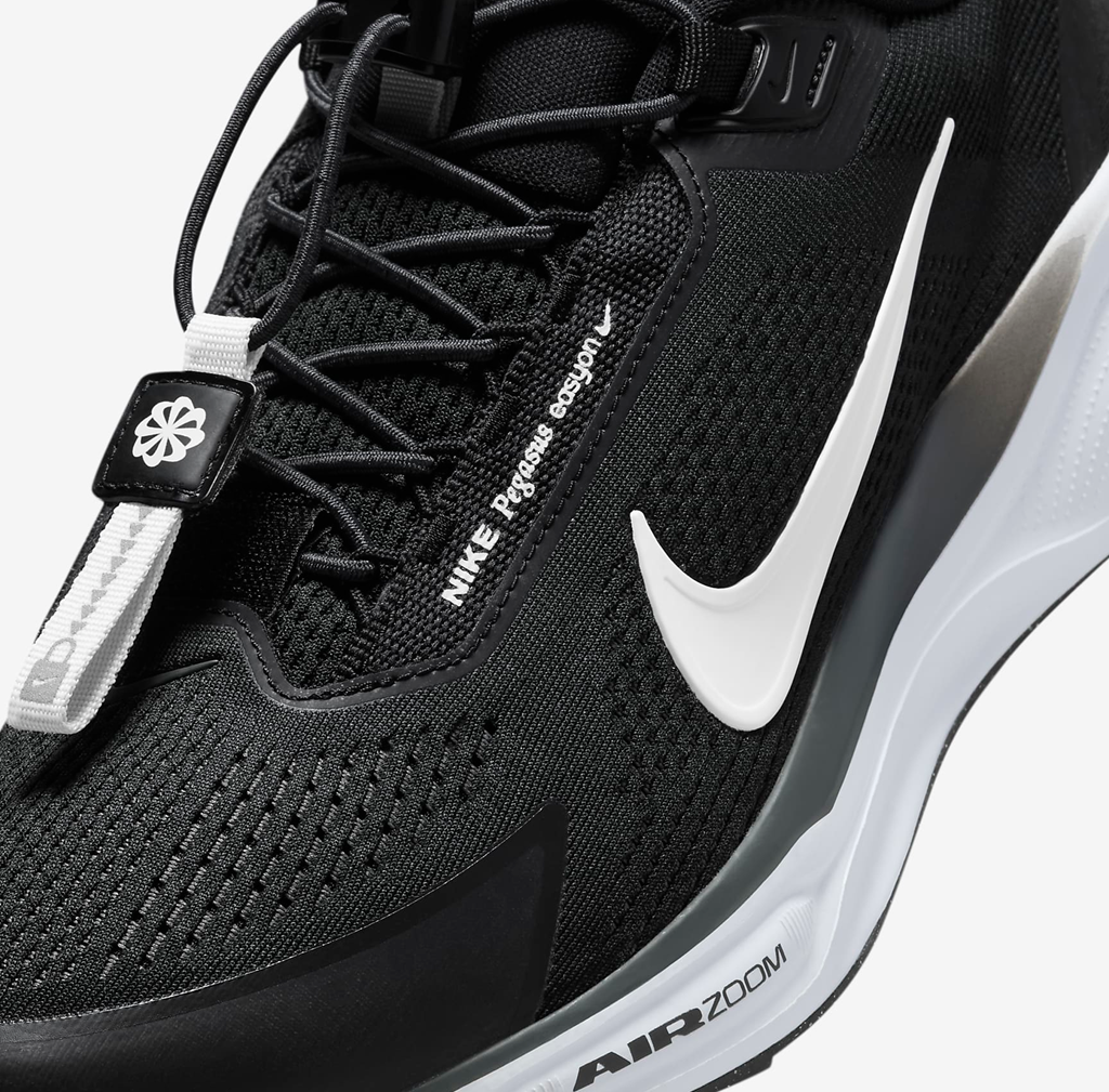 Nike Air Zoom Pegasus 41 EasyOn 'Black Anthracite' FQ7837-001 - Ảnh 3