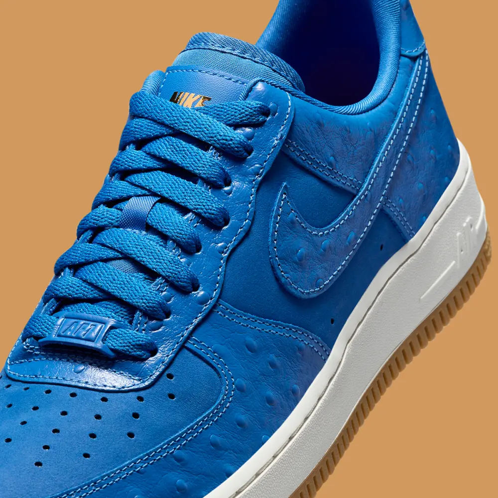 Giày Nike Air Force 1 Low ‘Blue Ostrich’ DZ2708-400 - Ảnh 3