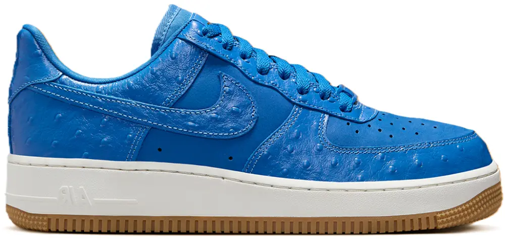Giày Nike Air Force 1 Low ‘Blue Ostrich’ DZ2708-400
