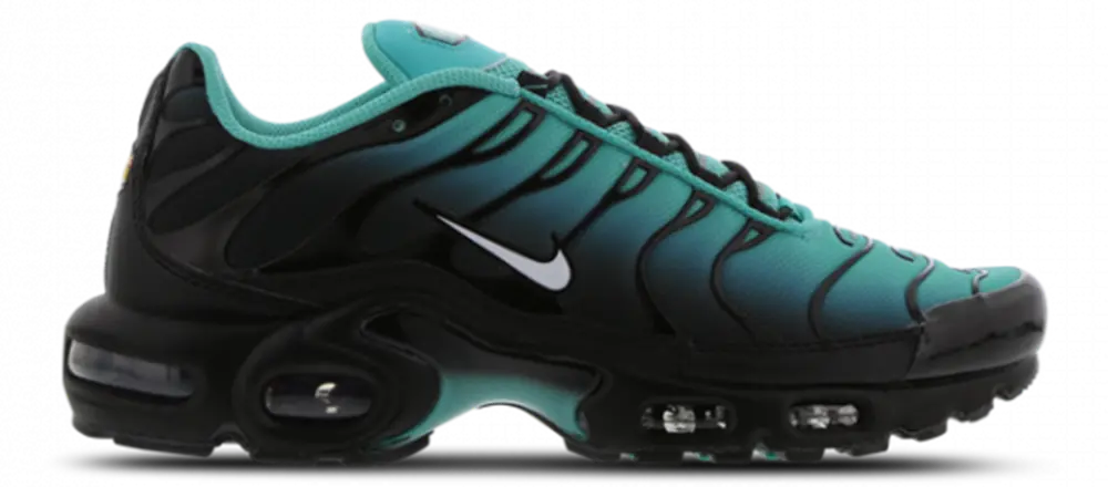 Giày Nike Air Max Plus 'Black Dusty Cactus' DM0032-016