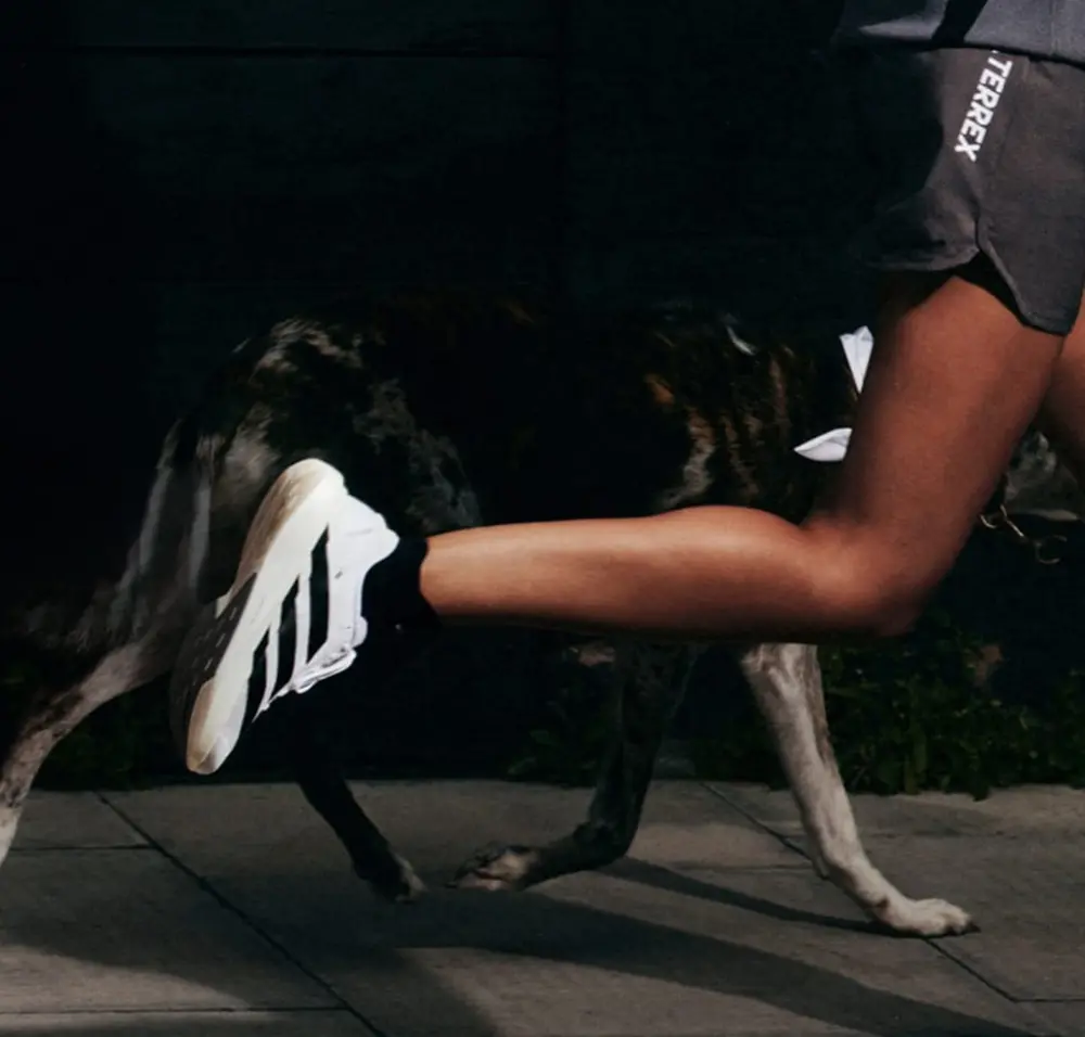 Giày Adidas Adizero Evo SL 'White Black' JH6206 - Ảnh 5