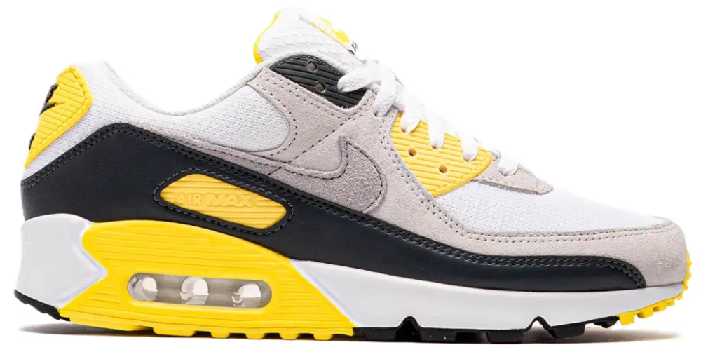 Giày Nike Air Max 90 'White Lightning' DM0029-111