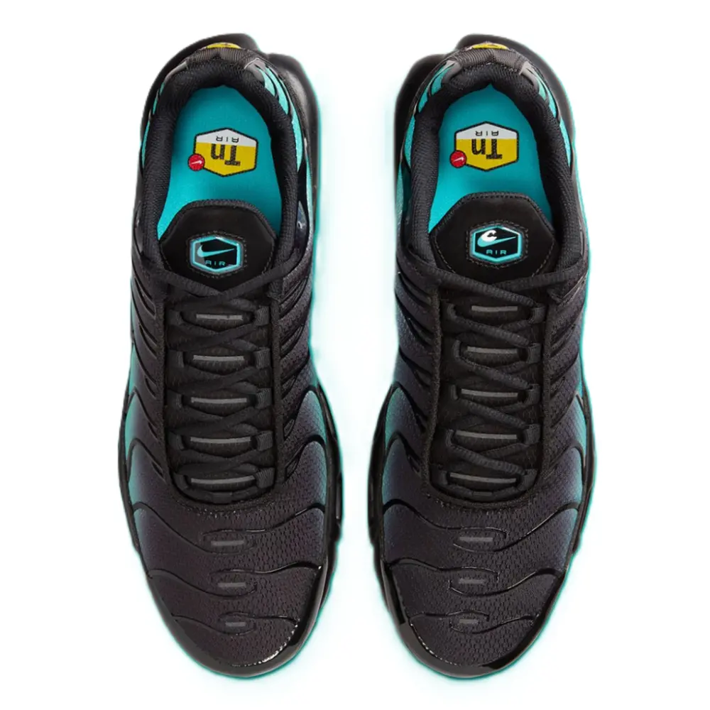 Giày Nike Air Max Plus 'Black Dusty Cactus' DM0032-016 - Ảnh 4