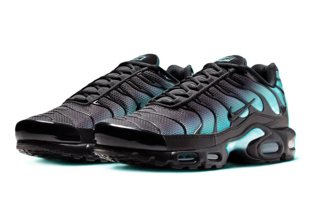 Giày Nike Air Max Plus 'Black Dusty Cactus' DM0032-016 - Ảnh 5