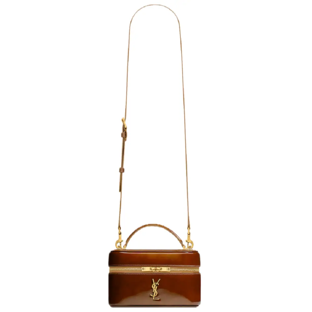 Túi Saint Laurent Gaby ‘Chataigne’ 810932AAEAR2175