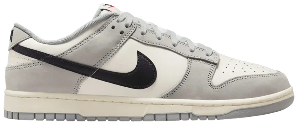 Giày Nike Dunk Low 'Smoke Grey' IB3079-101