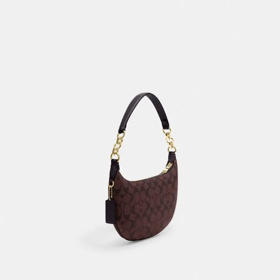 Túi Coach Payton Hobo In Signature Canvas ‘Oxblood Multi’ CE620-IMFCG - Ảnh 4